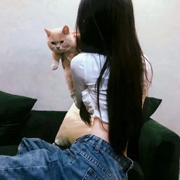 丹特丽安的书架